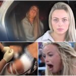 Stephanie Vaquer  a 400 word……….