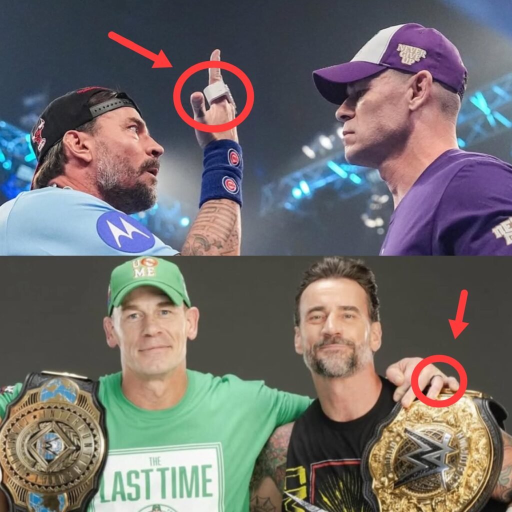 “I think me and John Cena are going to work together again. I don’t know when. I don’t know where. I don’t know for who.” (CM Punk via Movie Web)