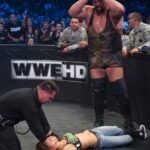 AJ Lee was accidentally taken out by Big Show 14 years ago on SmackDown!